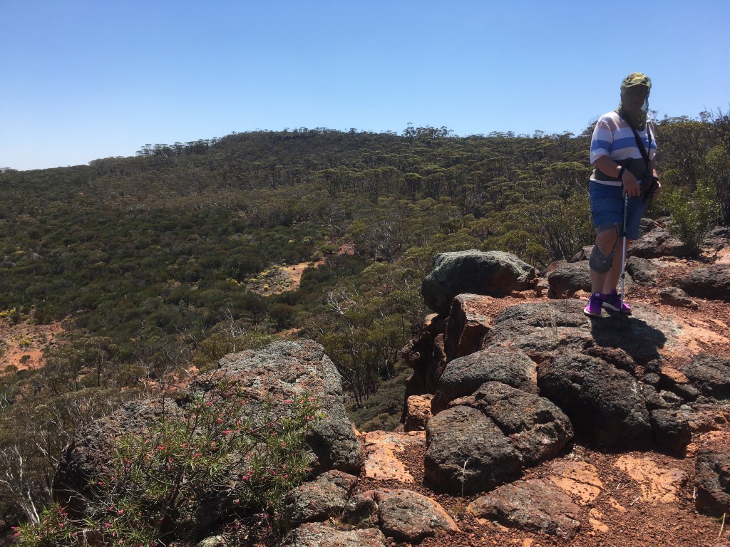 A Wongan Walk on the Wild&nbsp;Side