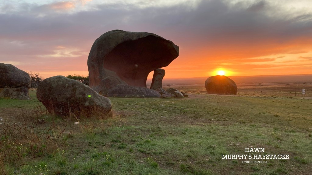 In Search of Wombats- Murphy’s&nbsp;Haystacks
