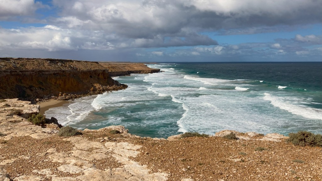 In Search of Wombats- Venus Bay & Talia Caves