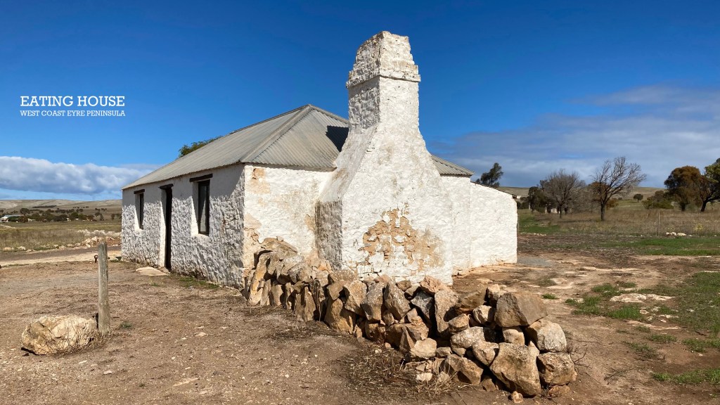 In Search of Wombats- The Lincoln&nbsp;Affair