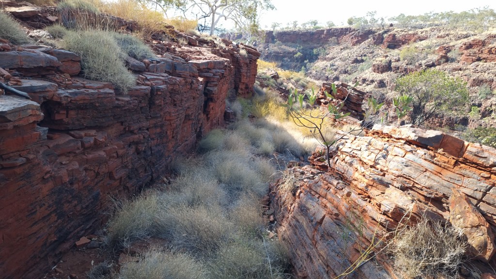 Adventure North- Downs and Ups