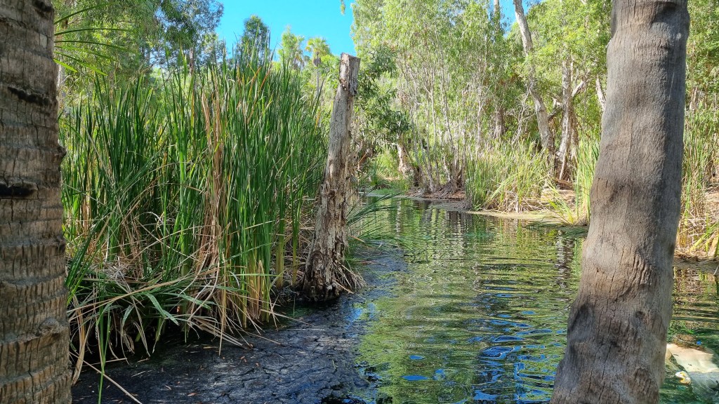 Adventure North – New Territory