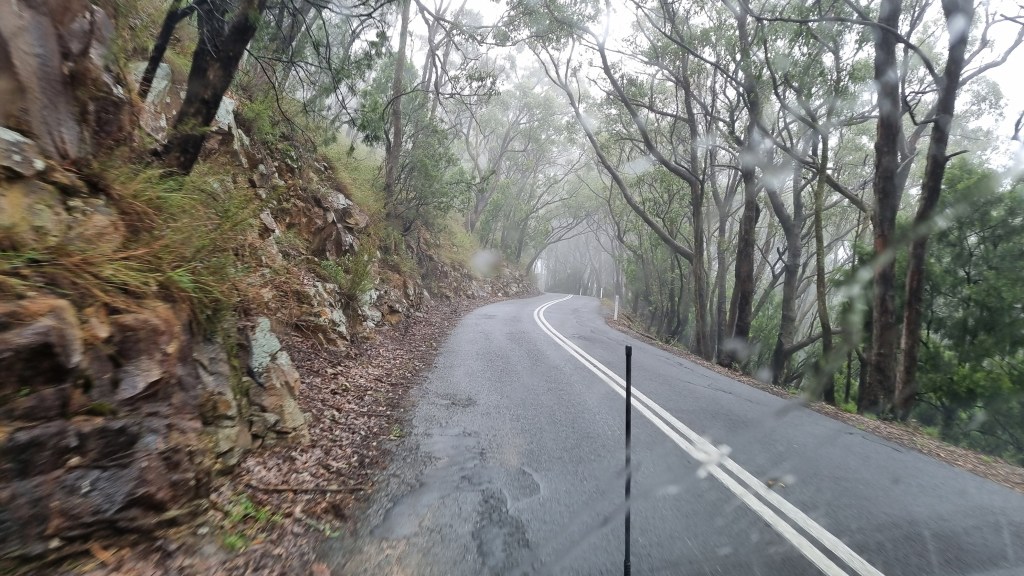 Baked Apples, Misty Mountains and a Koala.